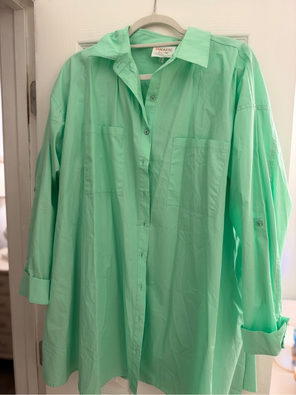 Fantastic Fawn Mint Green Long-Sleeve Button Down Dress